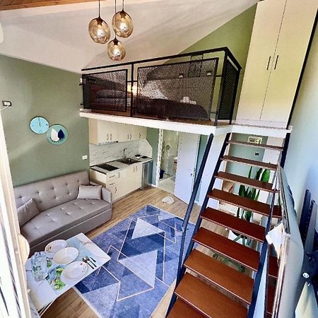 Villa Alvin House à Shkodër Extérieur photo